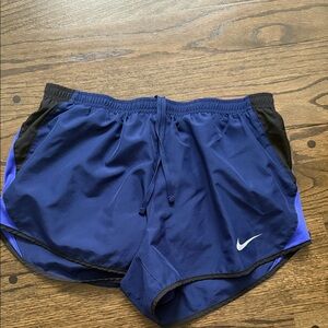 Nike Dri-FIT Blue Athletic Shorts